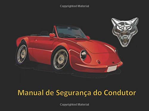 Manual de Segurança do Condutor (Portuguese Edition)