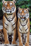 We love cats: Cat Notebook. Journal. Diary (110 Pages. Lined. 6 x 9)